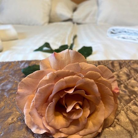 Hotel Rose City Budapest Luaran gambar